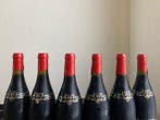 2019 Domaine Camus - Gevrey Chambertin - 6 Flessen (0.75