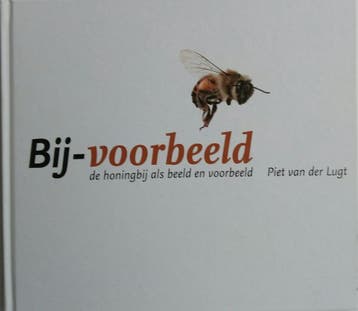 BIJ VOORBEELD 9789079895021 P. van der Lugt, Verzenden, Zo goed als nieuw, P. van der Lugt
