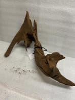 Am 618 Fine Sinkingwood 40x30x16 cm aquarium decoratie hout, Verzenden, Plant(en), Steen of Hout