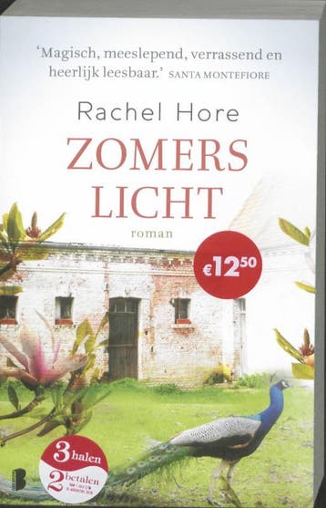 Zomers licht 9789022556467 Rachel Hore, Verzenden, Gelezen, Rachel Hore