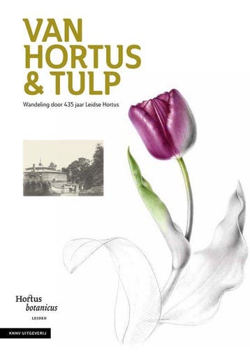 Van Hortus & tulp 9789050119665 Hortus botanicus Leiden, Verzenden, Zo goed als nieuw, Hortus botanicus Leiden