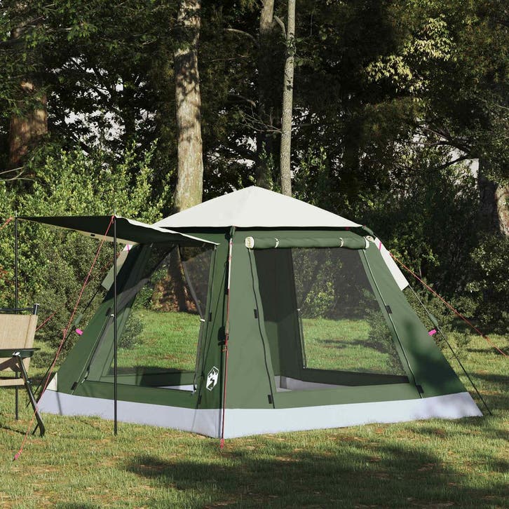 vidaXL Instant Tent met Rainfly voor 3 Personen met Snelle, Caravanes & Camping, Tentes, Envoi