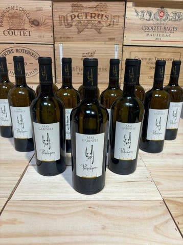 2022 Mas Gabinèle Pechaligous - Faugères - 12 Flessen, Nieuw