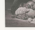 Peter Daems - Stilleven I