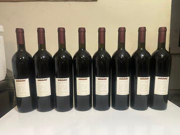 1995 Nino Negri Sfursat 5 Stelle - Lombardije - 8 Flessen, Nieuw