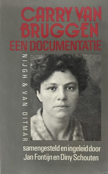 Carry van Bruggen 9789023656166 FONTYN, Verzenden, Gelezen, FONTYN
