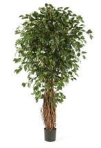 Kunstplant Ficus Liana Exotica 120 cm, Verzenden