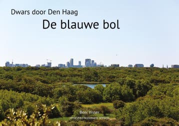De blauwe bol 9789082998030 Beer Visser, Boeken, Verzenden, Gelezen, Beer Visser