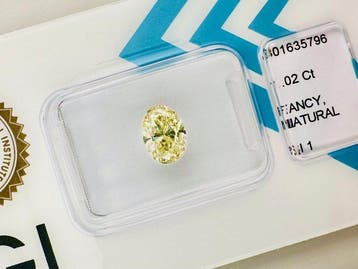 1 pcs Diamant (Couleur naturelle) - 1.02 ct - Oval - Fancy, Nieuw