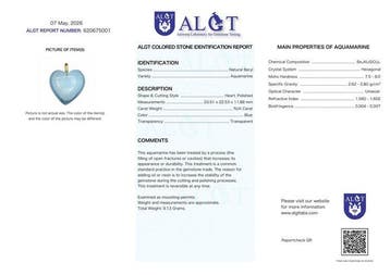 Geen reserve - ALGT-gecertificeerd - Grote en zeer