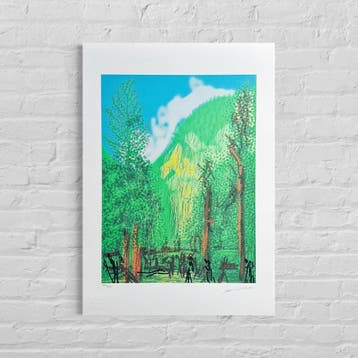 David Hockney Bos met 4 bomen Lithografie Arches 300gsm