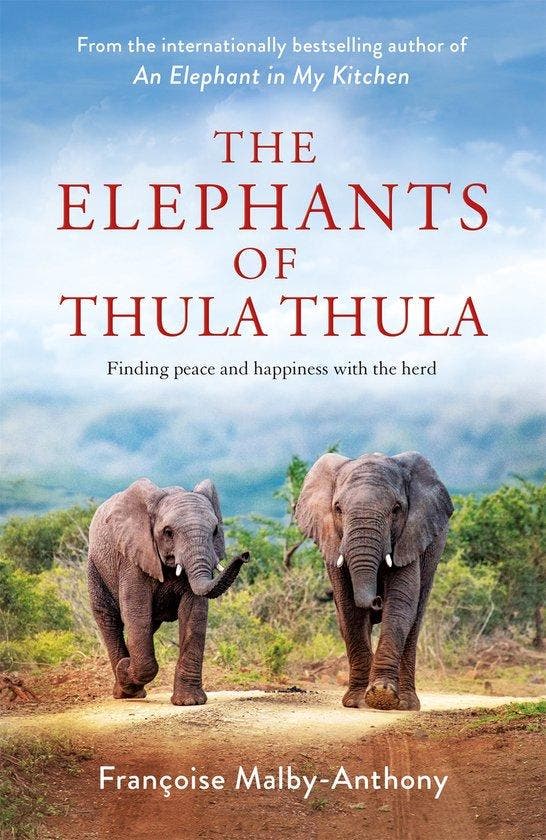 Malby-Anthony, F: The Elephants of Thula Thula 9781529087703, Livres, Langue | Anglais, Envoi