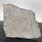 Eucriet van Vesta asteroïde XXL!!!!, NWA 13940, met