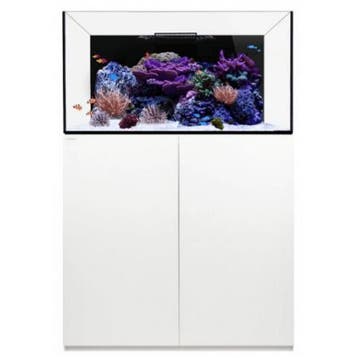 WaterBox REEF 100.3 wit, Verzenden