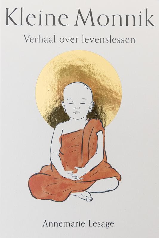 KIeine Monnik 9789083180588 Annemarie Lesage, Boeken, Schoolboeken, Gelezen, Verzenden