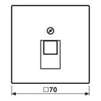 Antieke Messing UAE Netwerk Afdekking Plaat LS Serie -, Verzenden, Nieuw