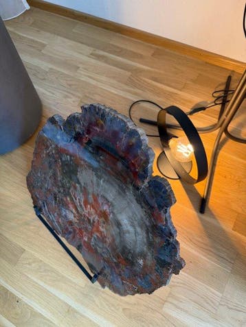 Versteend hout Plak - Hoogte: 47 cm - Breedte: 47 cm- 6.3 kg, Verzamelen, Mineralen en Fossielen