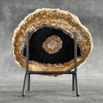 Prachtige plak versteende palmwortel op een op maat gemaakte