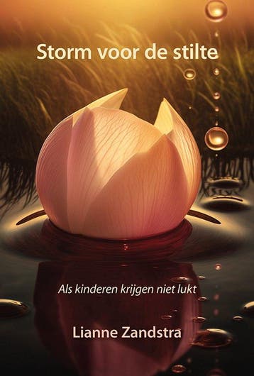 Storm voor de stilte 9789463657716 Lianne Zandstra, Verzenden, Lianne Zandstra