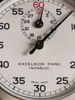 Excelsior Park - 1950-1959, Nieuw
