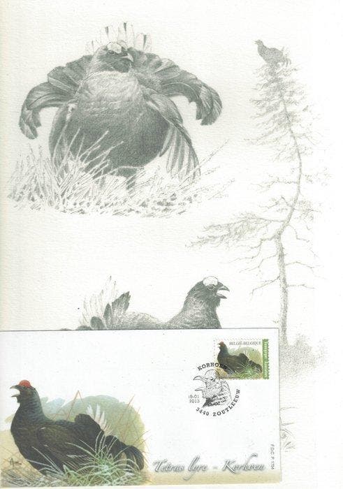 Belgique 2013 - Collection spécialisée de timbres, FDC -, Postzegels en Munten, Postzegels | Europa | België