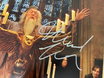 Harry Potter - Michael Gambon, Collections