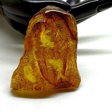 Uitgehouwen natuurlijke hele steen Baltische cabochon -, Nieuw