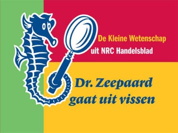 Dr. Zeepaard gaat vissen- 9789079985098, Verzenden, Zo goed als nieuw, Margriet van der Heijden