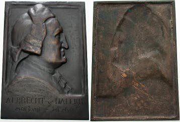 Einseitige Bronzegussplakette 1908 Medicina in nummis Alb..., Verzenden