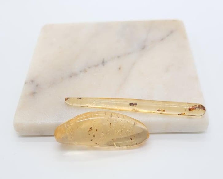Copal met insecten, Handtassen en Accessoires, Edelstenen, Ophalen of Verzenden