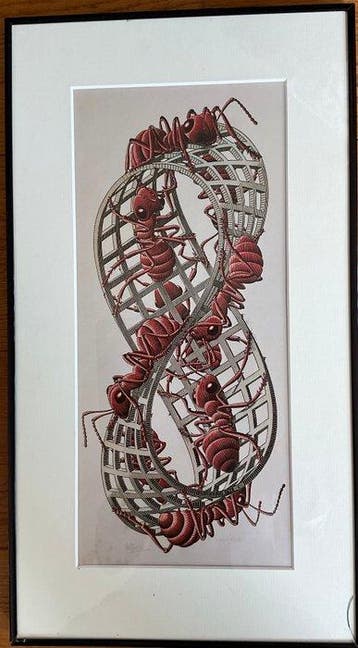 M.C. Escher (1898-1972) - Band van Möbius
