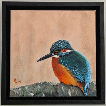 R.Benda(1953) - Ijsvogel in mooie pose