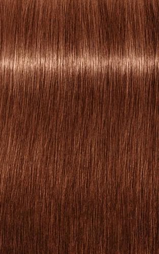 Schwarzkopf Professional Igora Royal Absolutes 60ml, Verzenden, Nieuw, Overige typen