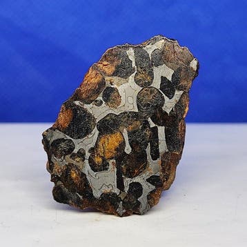 -endcut- PALLASITE météorite. SERICHO (Kenya, 2016)