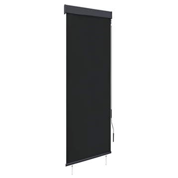 vidaXL Rolgordijn voor buiten 60x250 cm antraciet, Verzenden, Nieuw