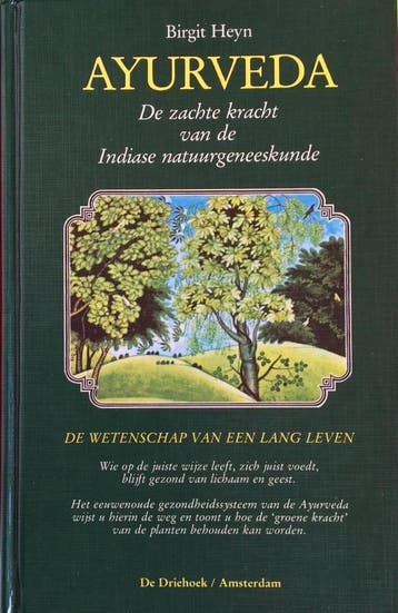 Ayurveda 9789060304600 B. Heyn, Boeken, Verzenden, Gelezen, B. Heyn