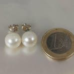 Sans prix de réserve - Boucles doreilles Argent Perle -