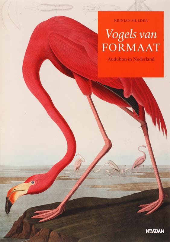 Vogels van formaat 9789046803257 Robert Mulder, Boeken, Kunst en Cultuur | Beeldend, Gelezen, Verzenden