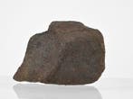 Meteoriet GHUBARA - Chondriet L5 Zwart Xenolietisch -, Verzamelen, Mineralen en Fossielen
