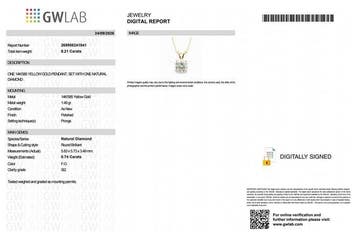 Zonder minimumprijs - Ketting met hanger - 14 karaat Geel