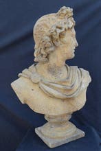 sculptuur, Busto Apollo del Belvedere - 46 cm - zandsteen -