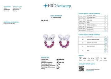 Oorbellen - 14 karaat Witgoud, 14 kt. - 0.72ct. tw. Robijn, Nieuw