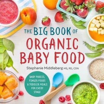 The Big Book of Organic Baby Food 9781943451524, Verzenden, Stephanie Middleberg