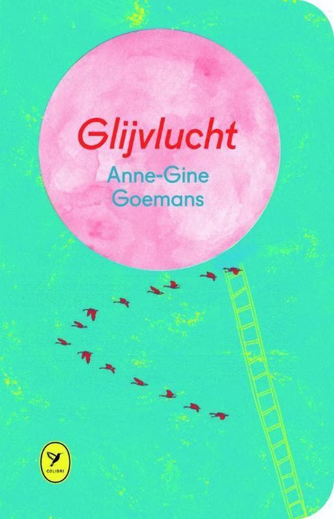 Glijvlucht / Colibri-bibliotheek / 1 9789462370074, Boeken, Romans, Gelezen, Verzenden