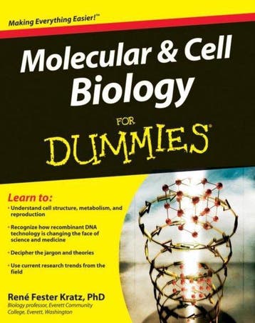 Molecular & Cell Biology For Dummies 9780470430668, Verzenden, Rene Fester Kratz