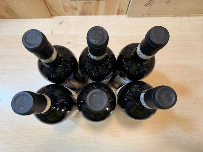 2015 Carpineto - Brunello di Montalcino Riserva - 6, Verzamelen, Wijnen