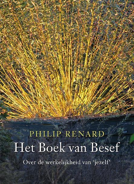 Het boek van besef 9789076681009 Philip Renard, Livres, Ésotérisme & Spiritualité, Envoi