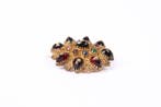 Broche - 21 carats Or jaune