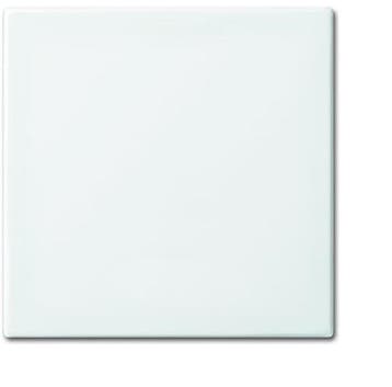 ABB Busch-Jaeger Balance SI Control Element/Central Plate, Verzenden, Nieuw