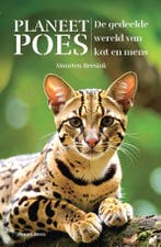 Planeet Poes 9789464713800 Maarten Reesink, Verzenden, Gelezen, Maarten Reesink